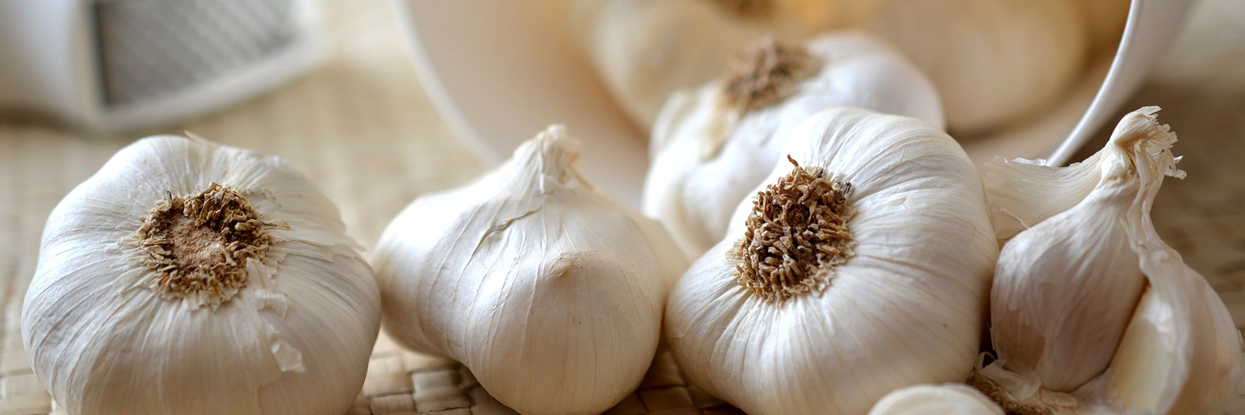 culinary-harvest.lol